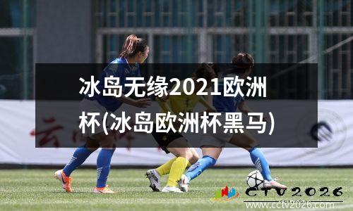 冰岛无缘2021欧洲杯(冰岛欧洲杯黑马)
