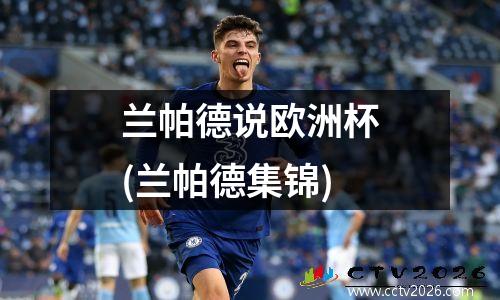 兰帕德说欧洲杯(兰帕德集锦)