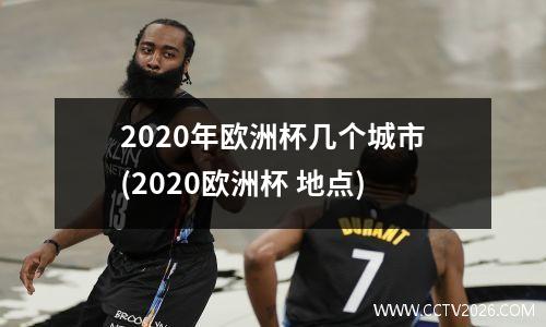 2020年欧洲杯几个城市(2020欧洲杯 地点)