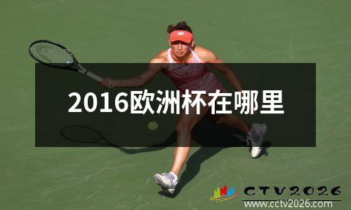 2016欧洲杯在哪里