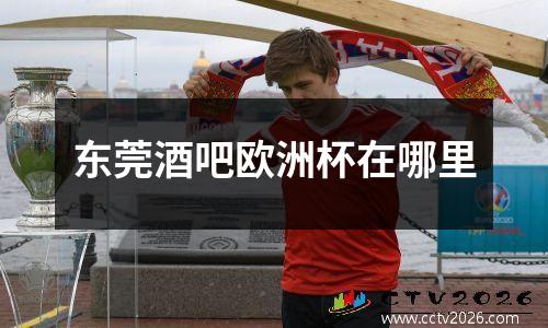 东莞酒吧欧洲杯在哪里