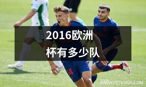 2016欧洲杯有多少队