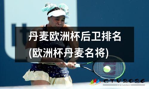丹麦欧洲杯后卫排名(欧洲杯丹麦名将)