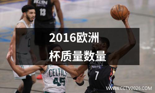 2016欧洲杯质量数量