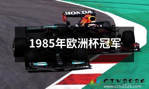 1985年欧洲杯冠军