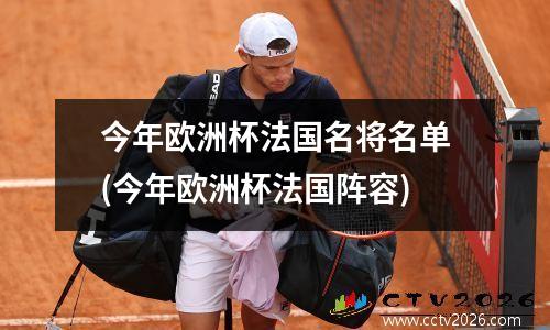今年欧洲杯法国名将名单(今年欧洲杯法国阵容)