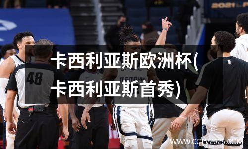 卡西利亚斯欧洲杯(卡西利亚斯首秀)
