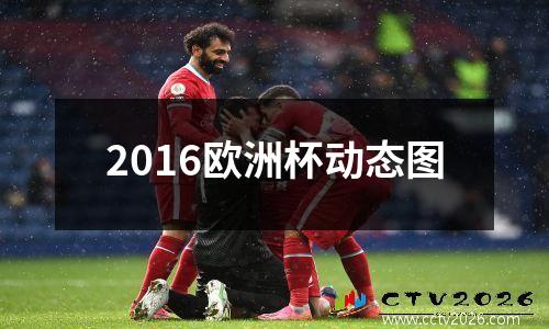 2016欧洲杯动态图