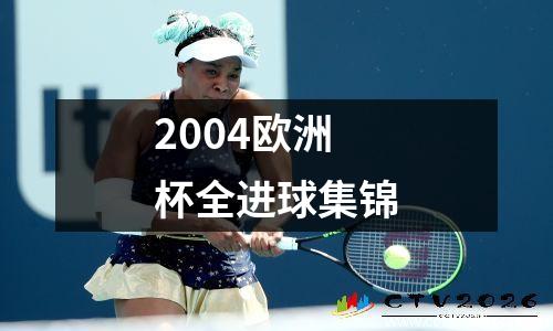 2004欧洲杯全进球集锦