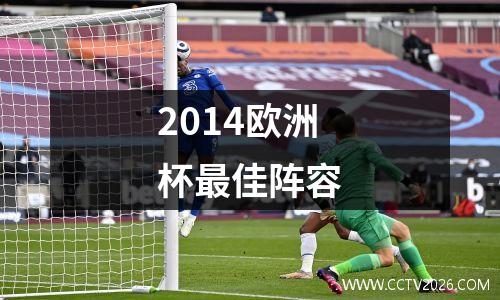 2014欧洲杯最佳阵容