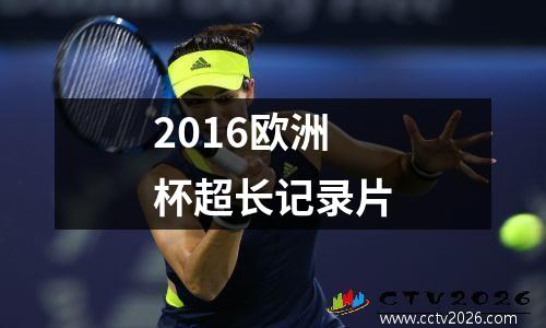 2016欧洲杯超长记录片