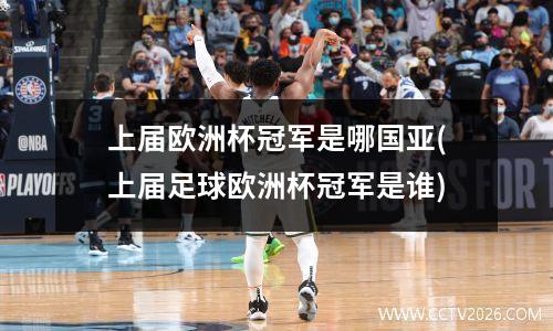 上届欧洲杯冠军是哪国亚(上届足球欧洲杯冠军是谁)