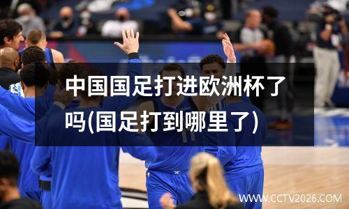 中国国足打进欧洲杯了吗(国足打到哪里了)
