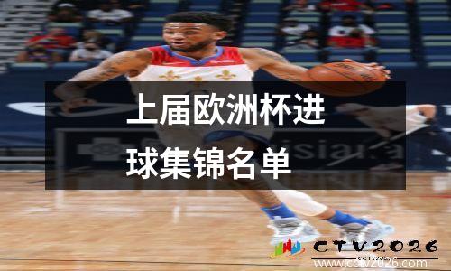 上届欧洲杯进球集锦名单