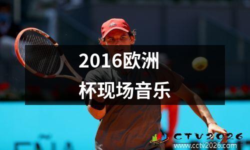 2016欧洲杯现场音乐