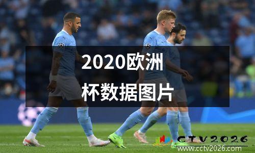 2020欧洲杯数据图片