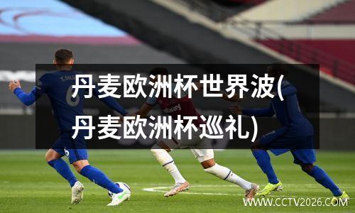 丹麦欧洲杯世界波(丹麦欧洲杯巡礼)