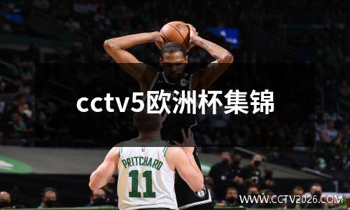 cctv5欧洲杯集锦