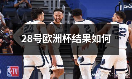 28号欧洲杯结果如何