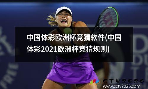 中国体彩欧洲杯竞猜软件(中国体彩2021欧洲杯竞猜规则)