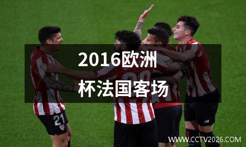 2016欧洲杯法国客场