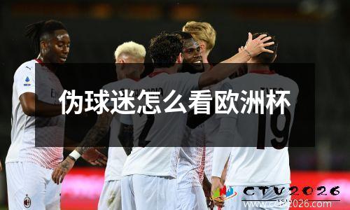 伪球迷怎么看欧洲杯