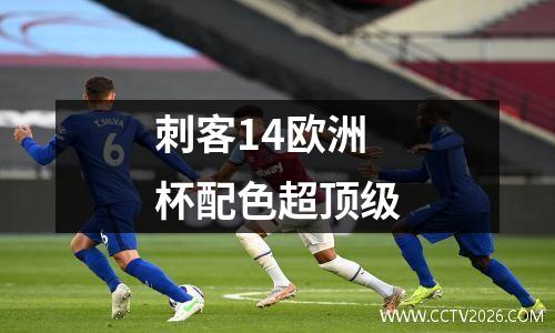 刺客14欧洲杯配色超顶级