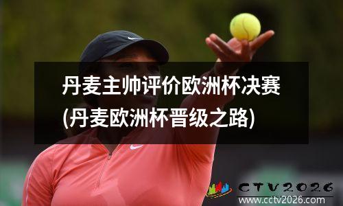 丹麦主帅评价欧洲杯决赛(丹麦欧洲杯晋级之路)