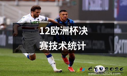 12欧洲杯决赛技术统计