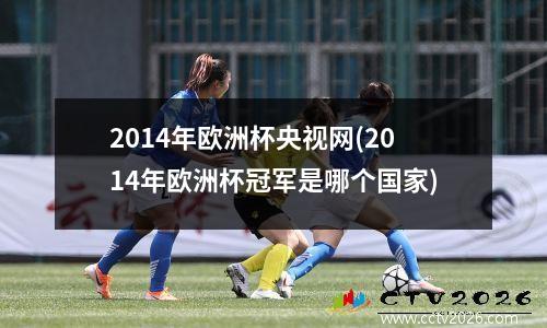 2014年欧洲杯央视网(2014年欧洲杯冠军是哪个国家)