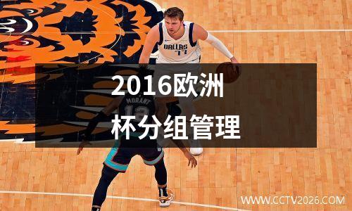 2016欧洲杯分组管理
