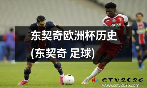 东契奇欧洲杯历史(东契奇 足球)