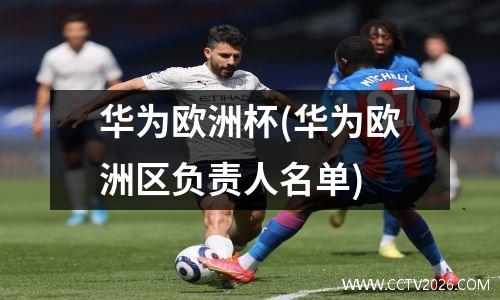 华为欧洲杯(华为欧洲区负责人名单)