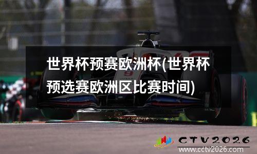 世界杯预赛欧洲杯(世界杯预选赛欧洲区比赛时间)