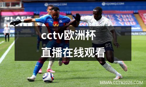 cctv欧洲杯直播在线观看