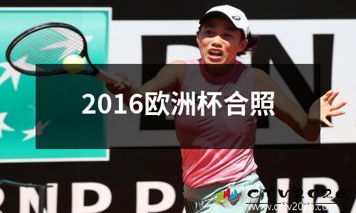 2016欧洲杯合照