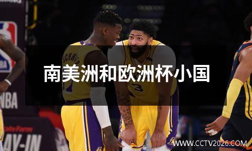 南美洲和欧洲杯小国