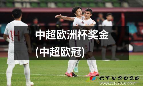 中超欧洲杯奖金(中超欧冠)