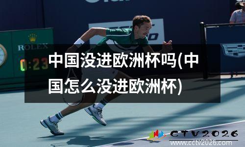 中国没进欧洲杯吗(中国怎么没进欧洲杯)