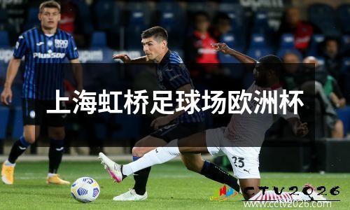 上海虹桥足球场欧洲杯