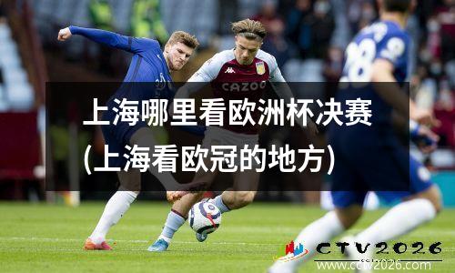 上海哪里看欧洲杯决赛(上海看欧冠的地方)