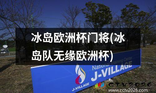 冰岛欧洲杯门将(冰岛队无缘欧洲杯)