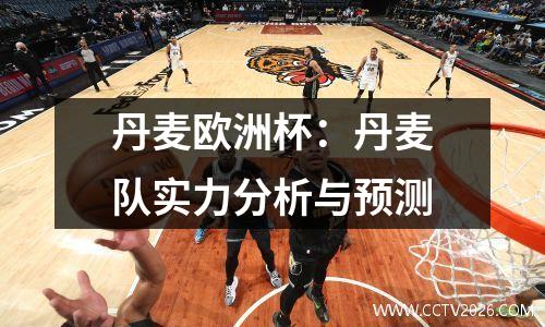 丹麦欧洲杯：丹麦队实力分析与预测