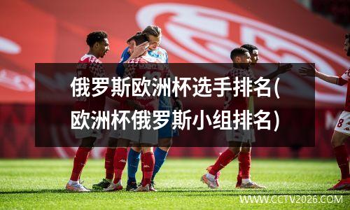 俄罗斯欧洲杯选手排名(欧洲杯俄罗斯小组排名)