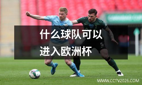 什么球队可以进入欧洲杯
