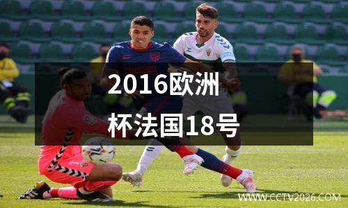 2016欧洲杯法国18号