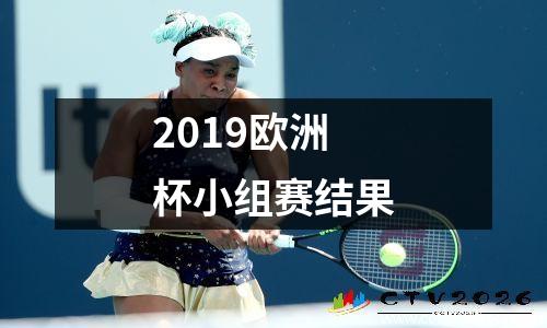2019欧洲杯小组赛结果