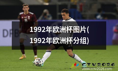 1992年欧洲杯图片(1992年欧洲杯分组)