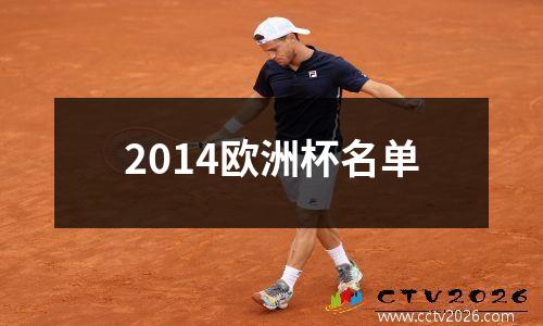 2014欧洲杯名单