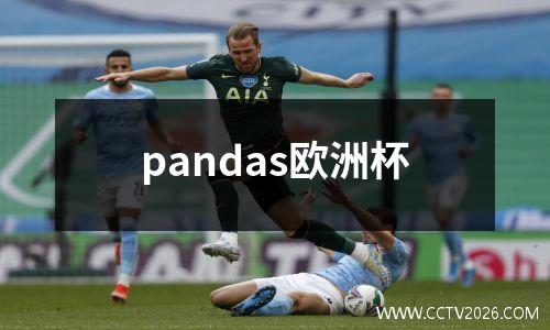 pandas欧洲杯